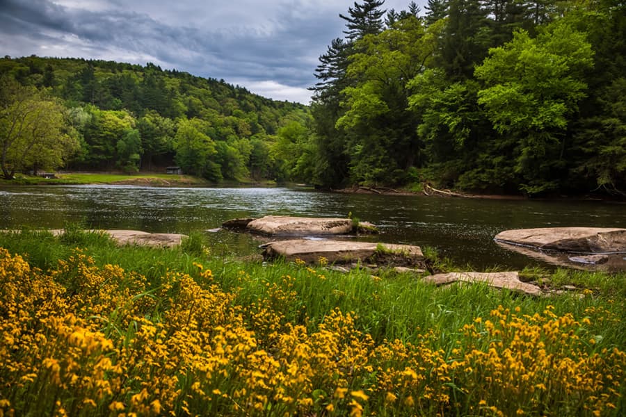 A serene river flows through lush greenery, bordered by vibrant yellow flowers and rocky outcrops under a cloudy sky.